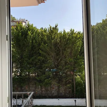 Levi Φετιγιέ